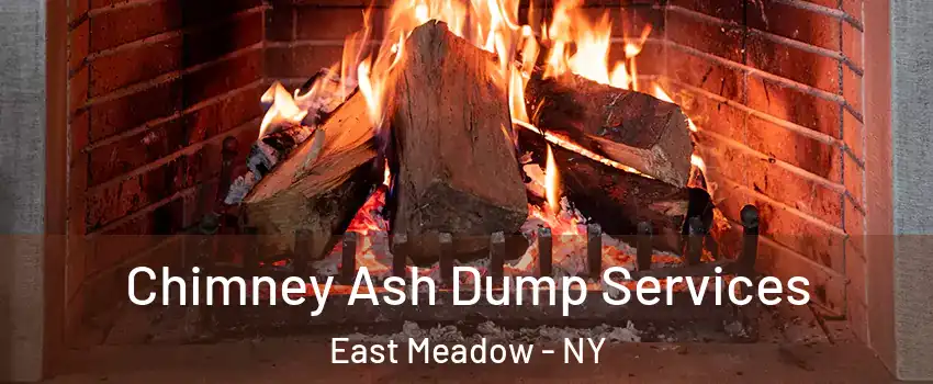  Chimney Ash Dump Services East Meadow - NY