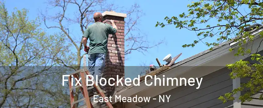  Fix Blocked Chimney East Meadow - NY