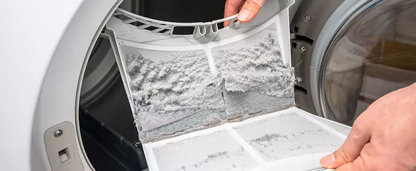 Best Dryer Lint Removal Company in East Meadow, New York