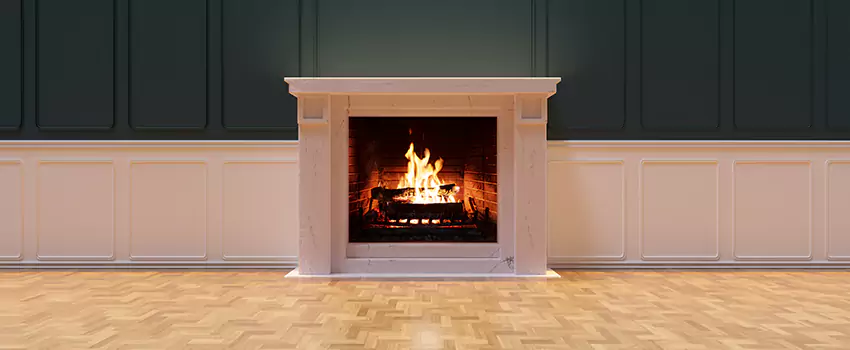 Napoleon Electric Fireplaces Inspection Service in East Meadow, New York