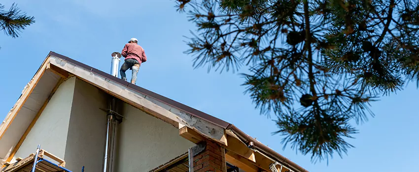 Birds Removal Contractors from Chimney in East Meadow, NY