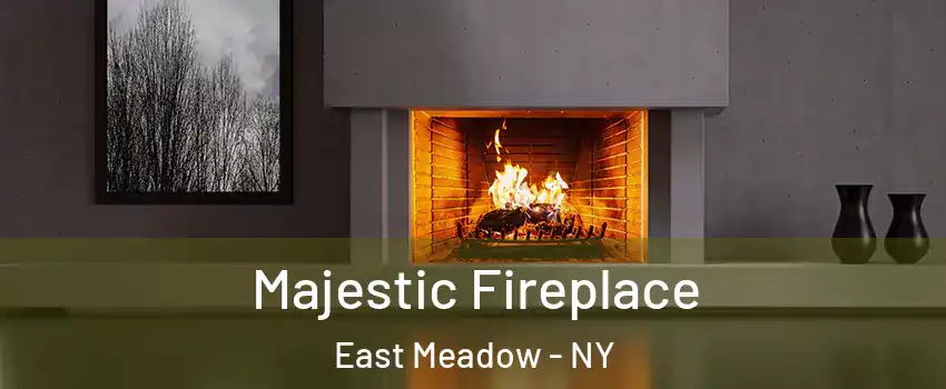  Majestic Fireplace East Meadow - NY