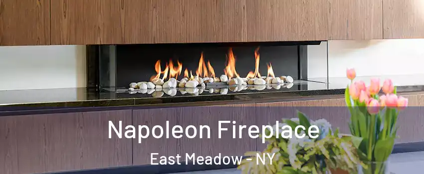  Napoleon Fireplace East Meadow - NY