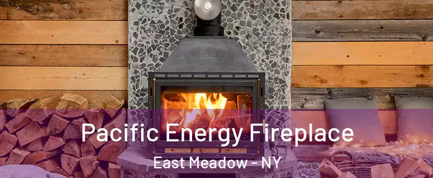  Pacific Energy Fireplace East Meadow - NY